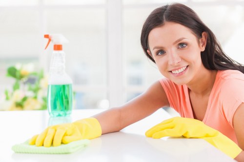Domestic cleaner working in a Uxbridge living room