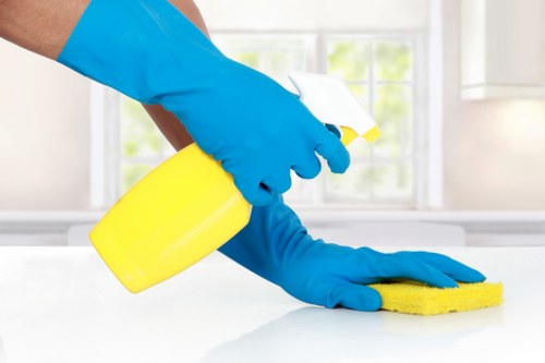 Local cleaner carrying out a scheduled cleaning visit in Uxbridge
