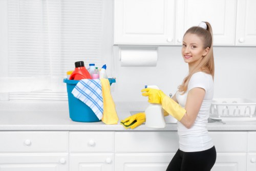 Bathroom descaling and sanitising for a rented property